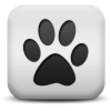 Captcha image 6185